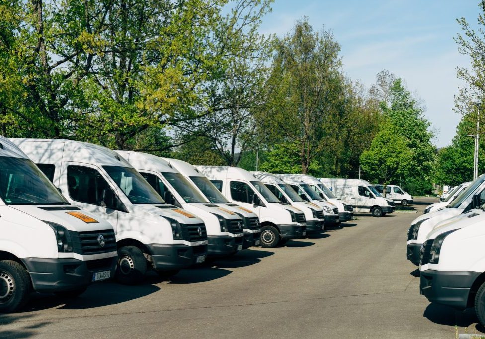 fleet of van lined up in yard